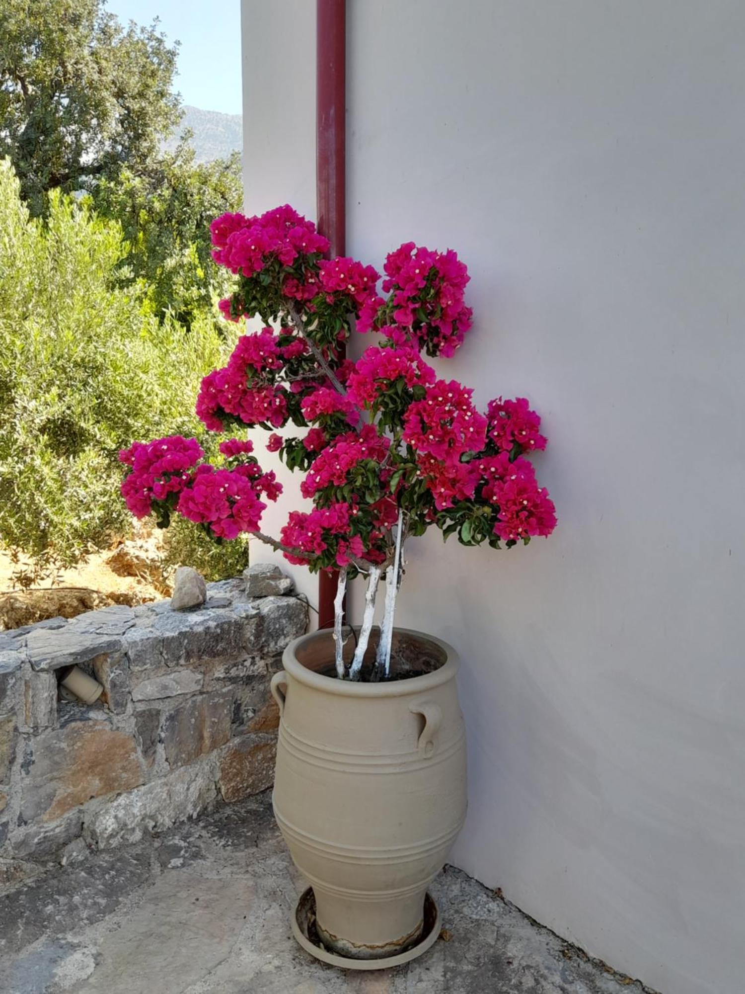 "Villa Kastania" Melidoni, Chania, Crete Bagian luar foto