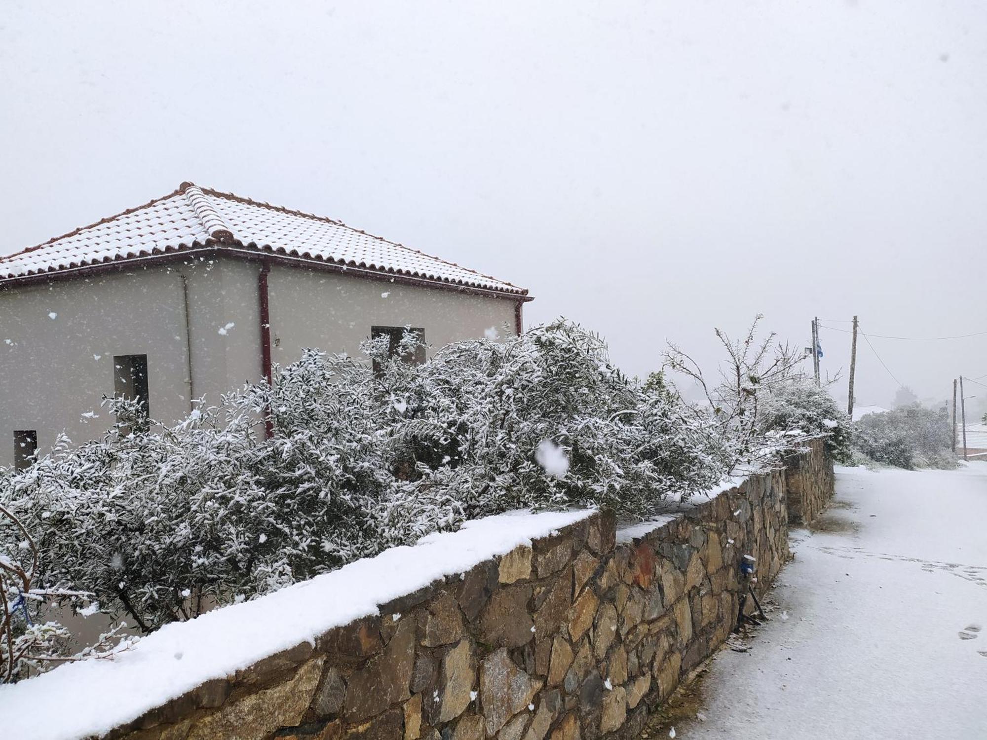 "Villa Kastania" Melidoni, Chania, Crete Bagian luar foto